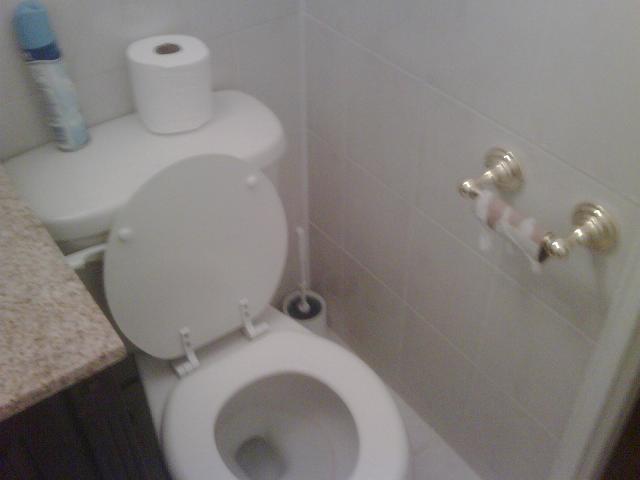 toilet