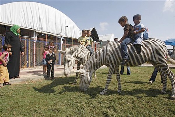 donkey painted like zebra in Gaza donkey painted like zebra in Gaza